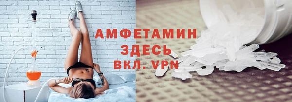 индика Богородицк