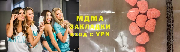 индика Богородицк