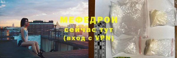 индика Богородицк