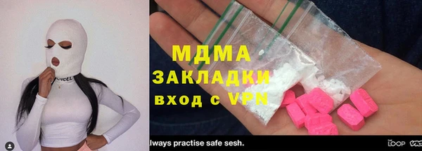 индика Богородицк