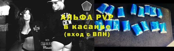 индика Богородицк