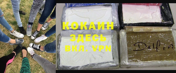 соль ск Богданович