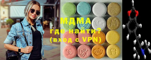 индика Богородицк