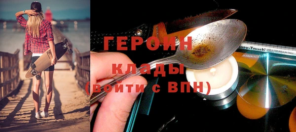 индика Богородицк
