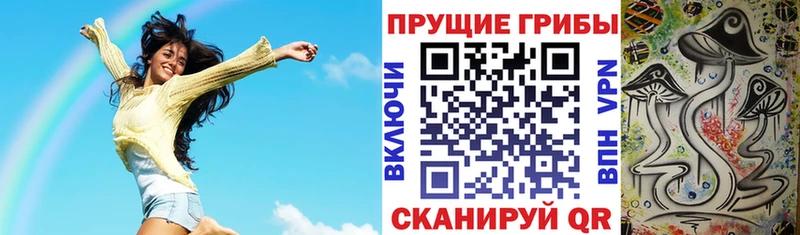 Псилоцибиновые грибы прущие грибы  Трубчевск 